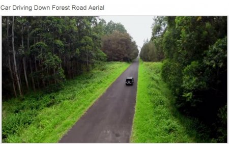 دانلود فوتیج هوایی حرکت ماشین در جنگل زیبا