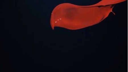 دانلود فوتیج slow motion  پاشیده شدن رنگ قرمز
